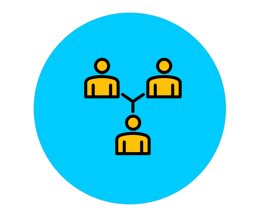 Complete Xero Training